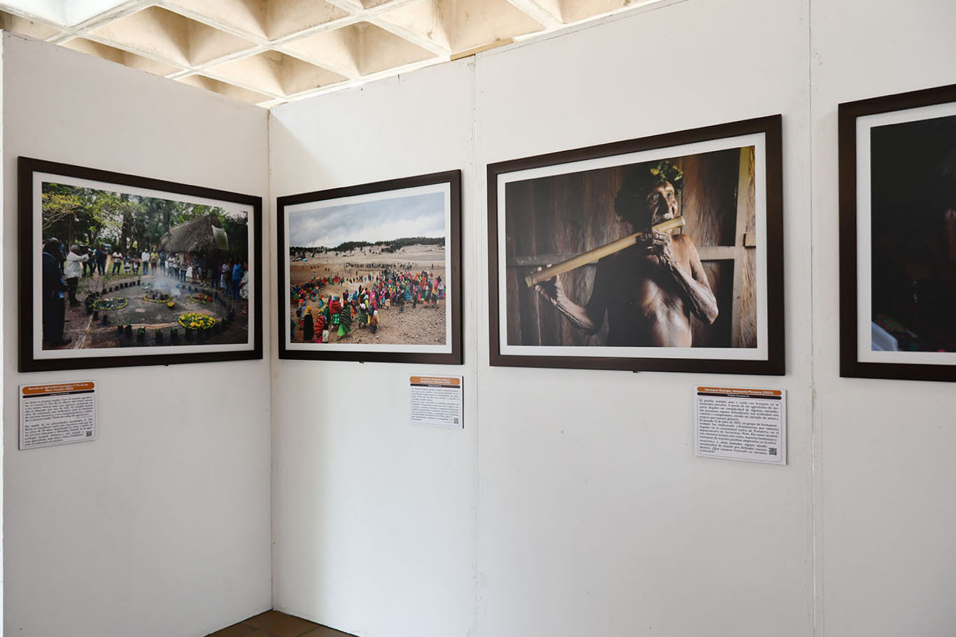 Mtro. Enrique Carrasco, S.J.